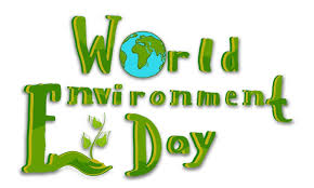 Essay about environment day